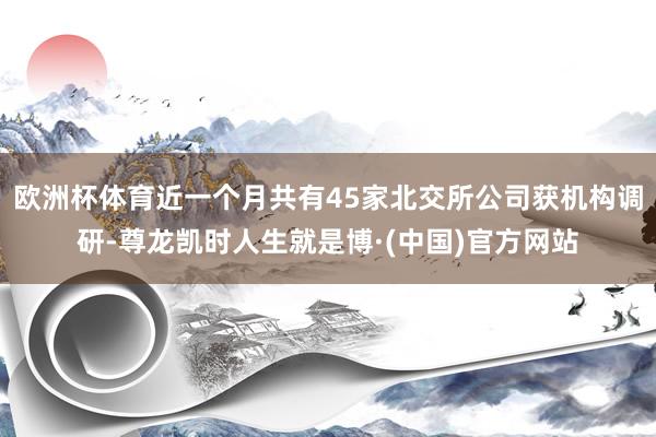 欧洲杯体育近一个月共有45家北交所公司获机构调研-尊龙凯时人生就是博·(中国)官方网站