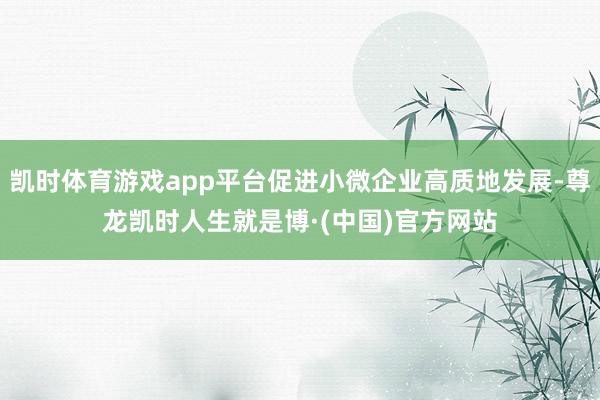 凯时体育游戏app平台促进小微企业高质地发展-尊龙凯时人生就是博·(中国)官方网站
