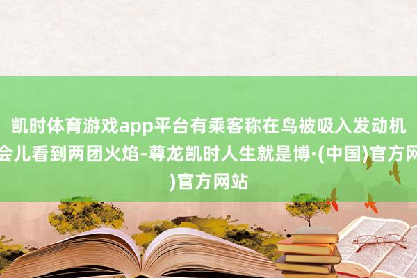 凯时体育游戏app平台有乘客称在鸟被吸入发动机一会儿看到两团火焰-尊龙凯时人生就是博·(中国)官方网站