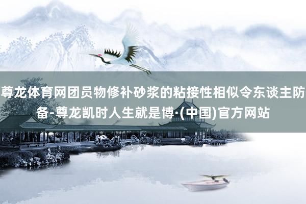 尊龙体育网团员物修补砂浆的粘接性相似令东谈主防备-尊龙凯时人生就是博·(中国)官方网站