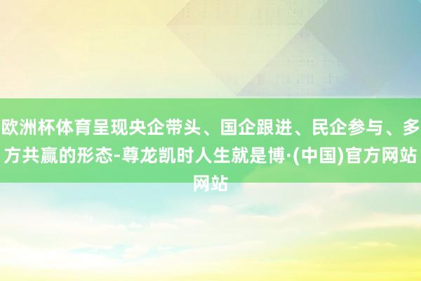 欧洲杯体育呈现央企带头、国企跟进、民企参与、多方共赢的形态-尊龙凯时人生就是博·(中国)官方网站