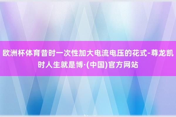 欧洲杯体育昔时一次性加大电流电压的花式-尊龙凯时人生就是博·(中国)官方网站