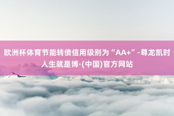 欧洲杯体育节能转债信用级别为“AA+”-尊龙凯时人生就是博·(中国)官方网站