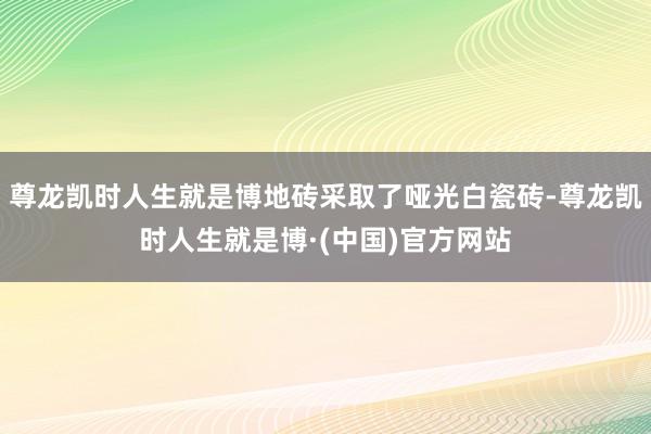 尊龙凯时人生就是博地砖采取了哑光白瓷砖-尊龙凯时人生就是博·(中国)官方网站