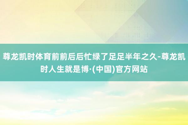 尊龙凯时体育前前后后忙绿了足足半年之久-尊龙凯时人生就是博·(中国)官方网站