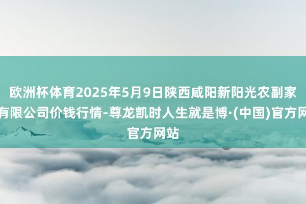 欧洲杯体育2025年5月9日陕西咸阳新阳光农副家具有限公司价钱行情-尊龙凯时人生就是博·(中国)官方网站