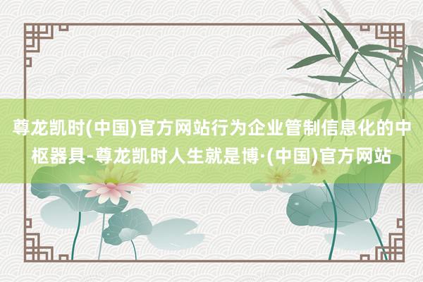 尊龙凯时(中国)官方网站行为企业管制信息化的中枢器具-尊龙凯时人生就是博·(中国)官方网站