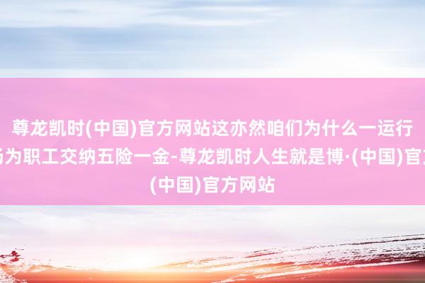 尊龙凯时(中国)官方网站这亦然咱们为什么一运行就昂扬为职工交纳五险一金-尊龙凯时人生就是博·(中国)官方网站
