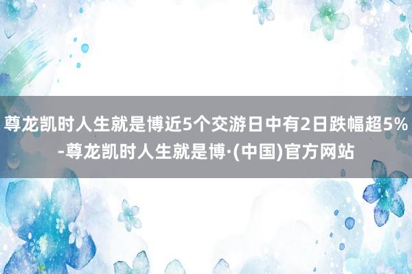 尊龙凯时人生就是博近5个交游日中有2日跌幅超5%-尊龙凯时人生就是博·(中国)官方网站