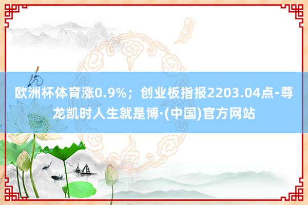 欧洲杯体育涨0.9%;创业板指报2203.04点-尊龙凯时人生就是博·(中国)官方网站